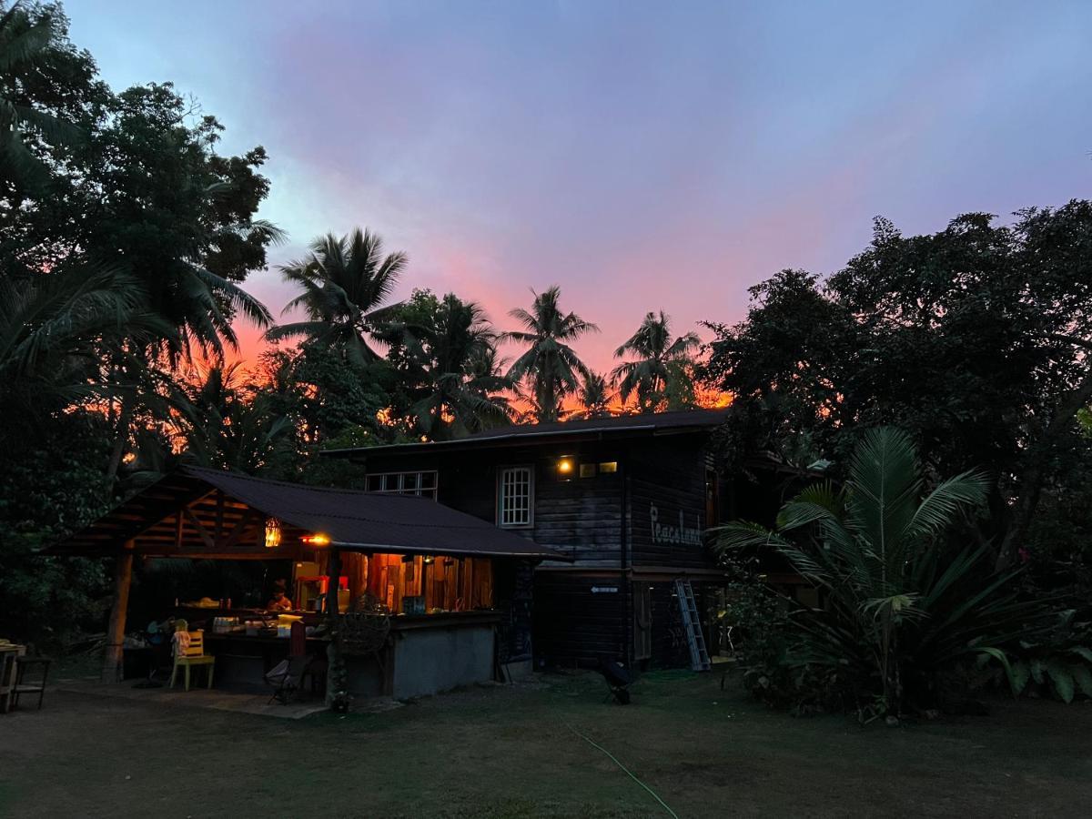 Peaceland Hostel Đảo Đảo Panglao Ngoại thất bức ảnh