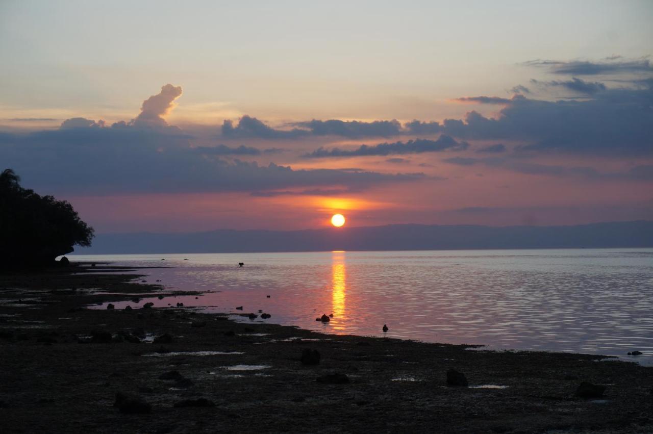 Peaceland Hostel Đảo Đảo Panglao Ngoại thất bức ảnh